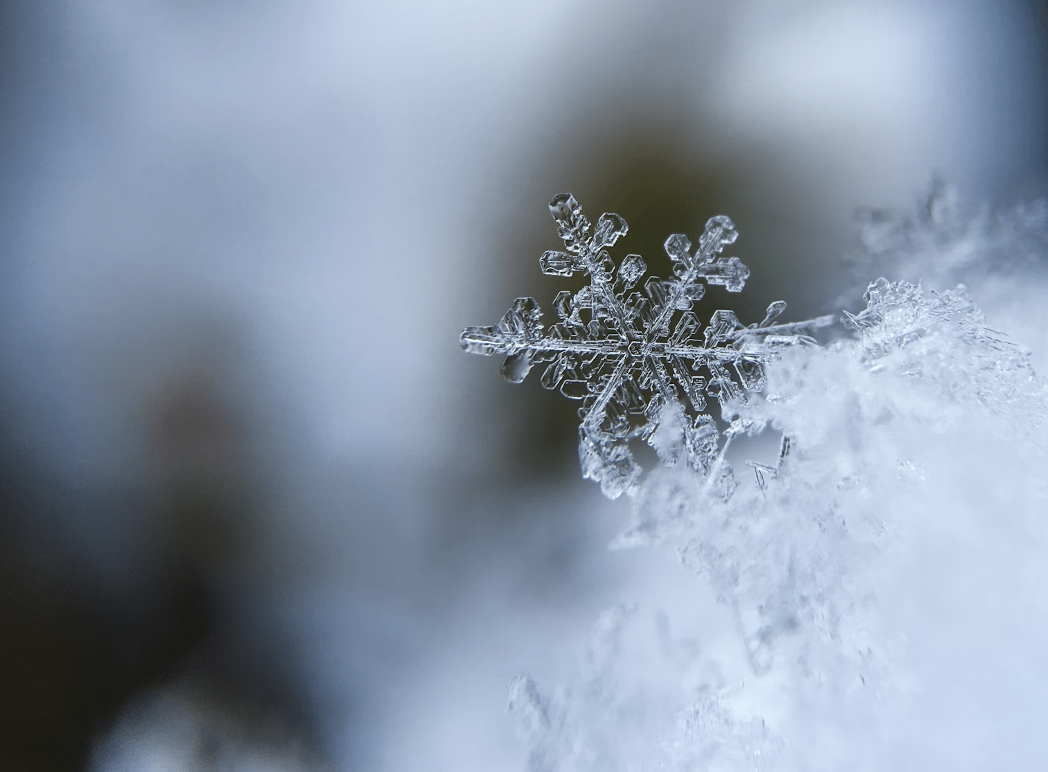 Is the SQE Too Hard? Why “Snowflake” Comments Miss the Point