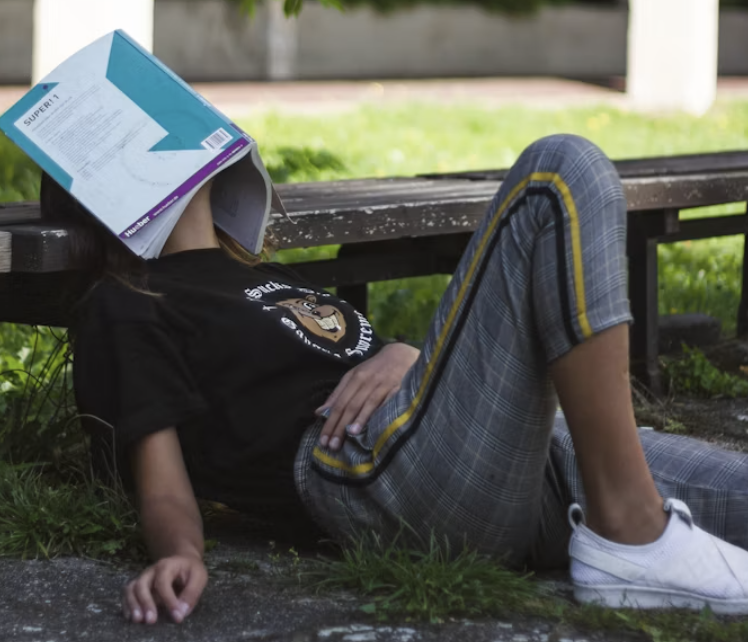 SQE2 anxiety